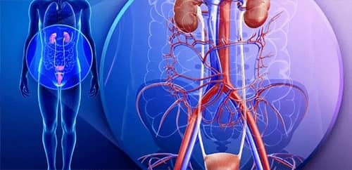 Nephrotec obat apa itu